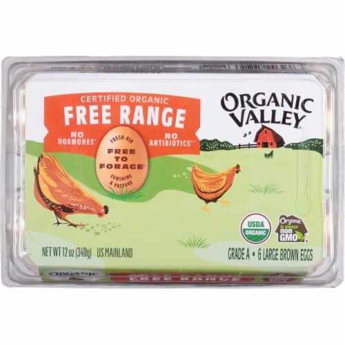 Organic Valley® Free Range Large Brown Eggs Perspective: top