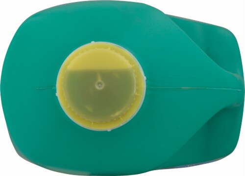 Xtra™ Mountain Rain™ Scent Liquid Laundry Detergent Perspective: top