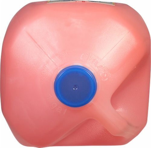 Tampico® Tropical Punch Cherry Orange Pineapple Juice Drink Perspective: top