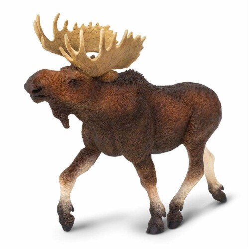 Moose Toy Perspective: top