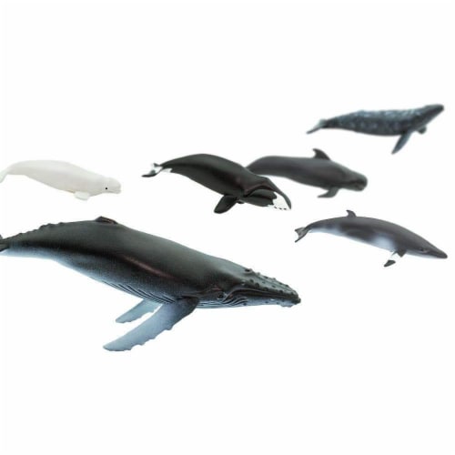 Whales TOOB Perspective: top