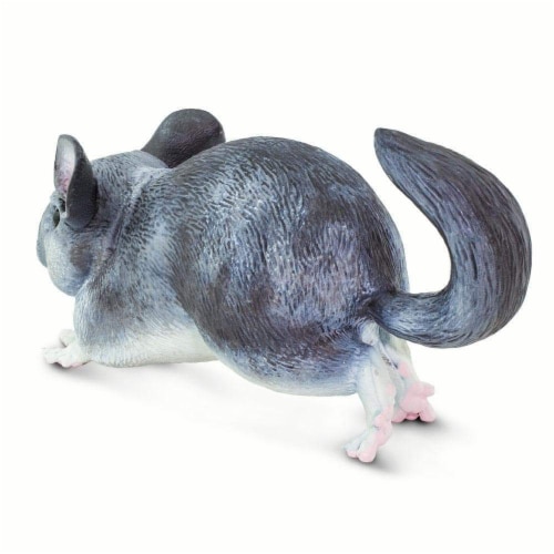 Chinchilla Perspective: top