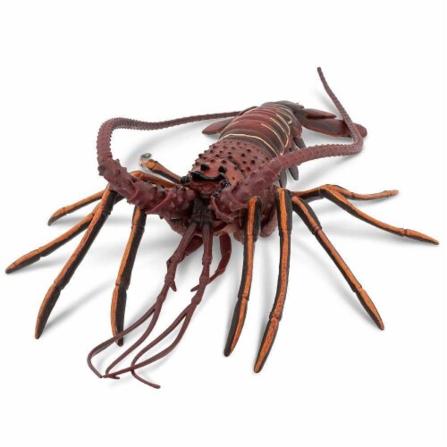 Safari Ltd®  Spiny Lobster, Toy Figurine Perspective: top