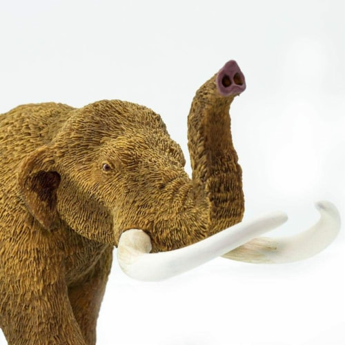 American Mastodon Toy Perspective: top