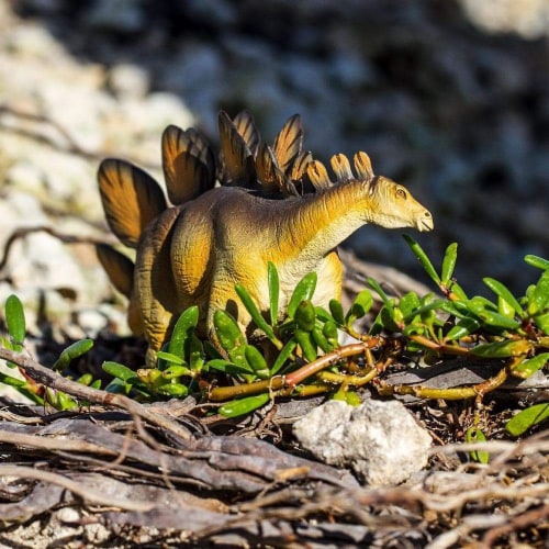 Stegosaurus Toy Perspective: top