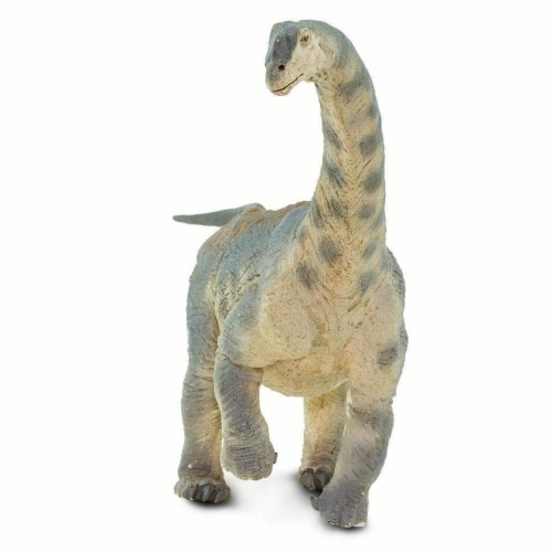 Camarasaurus Toy Perspective: top