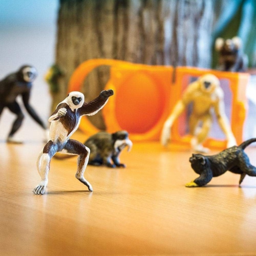 Primates TOOB Perspective: top