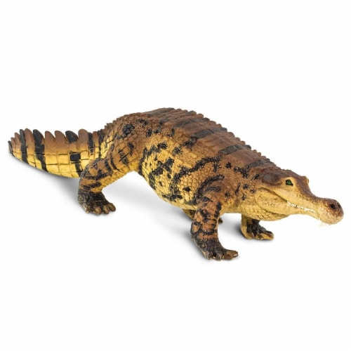 Sarcosuchus Toy Perspective: top