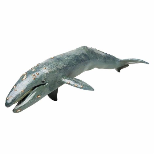 Gray Whale Toy Perspective: top