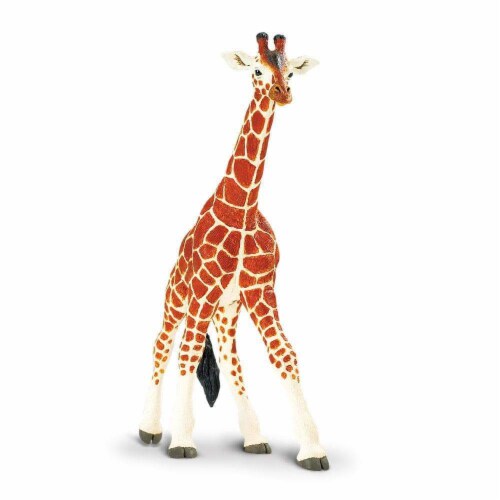 Reticulated Giraffe Toy Perspective: top