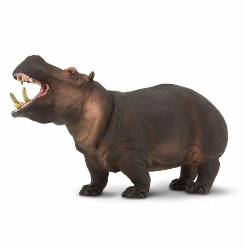 Hippopotamus Toy Perspective: top