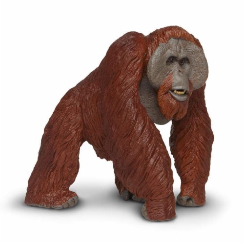 Bornean Orangutan Toy Perspective: top
