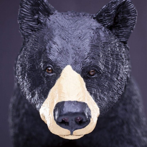Black Bear Toy Perspective: top
