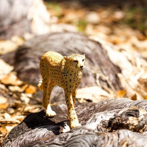 Cheetah Toy, lb - Pick 'n Save