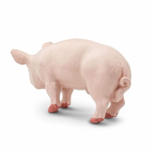 Boar Perspective: top