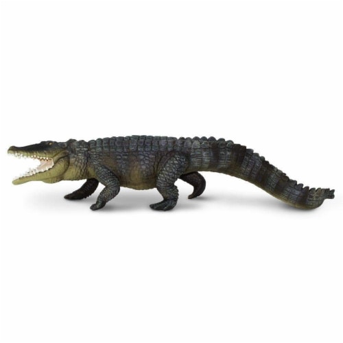 Saltwater Crocodile Perspective: top