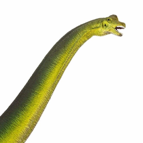 Brachiosaurus Toy Perspective: top