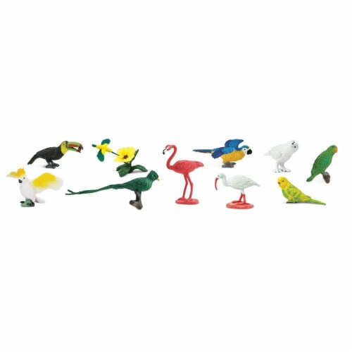 Exotic Birds TOOB Perspective: top