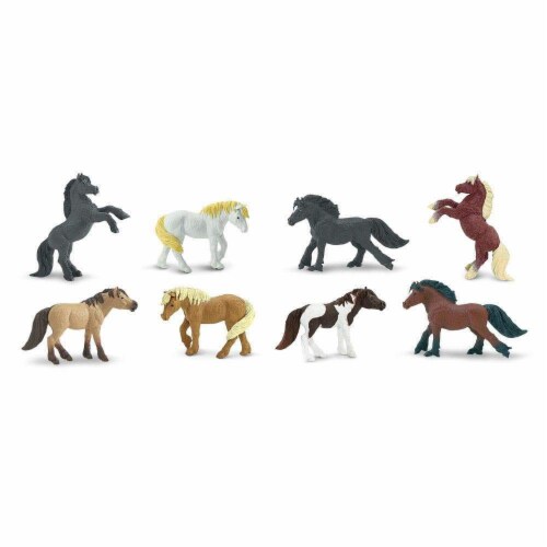 Ponies TOOB Perspective: top
