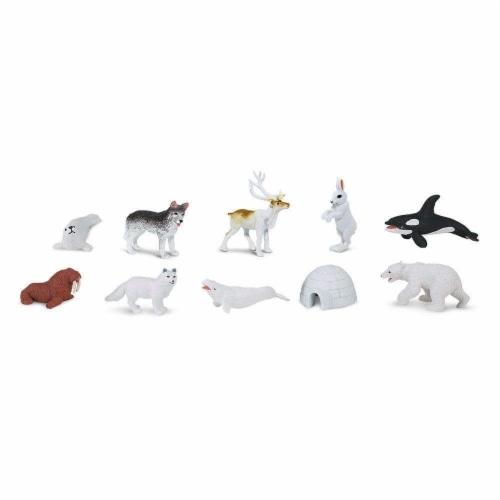 Arctic TOOB Perspective: top