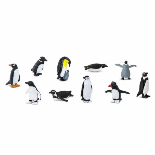 Penguins TOOB Perspective: top
