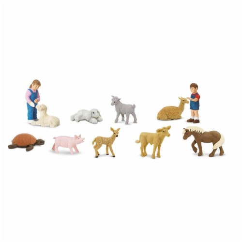 Petting Zoo TOOB Perspective: top