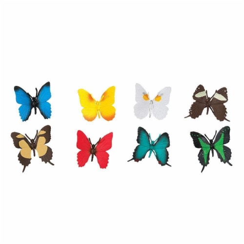 Butterflies TOOB Perspective: top