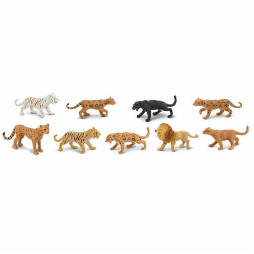 Big Cats TOOB Perspective: top