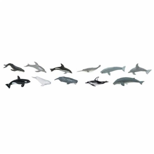 Whales & Dolphins TOOB Perspective: top