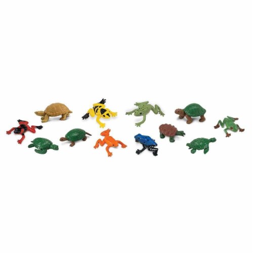 Frogs & Turtles TOOB Perspective: top