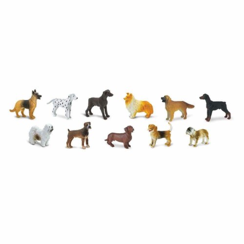 Dogs TOOB Perspective: top