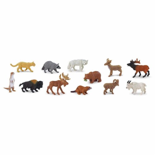 North American Wildlife TOOB Perspective: top