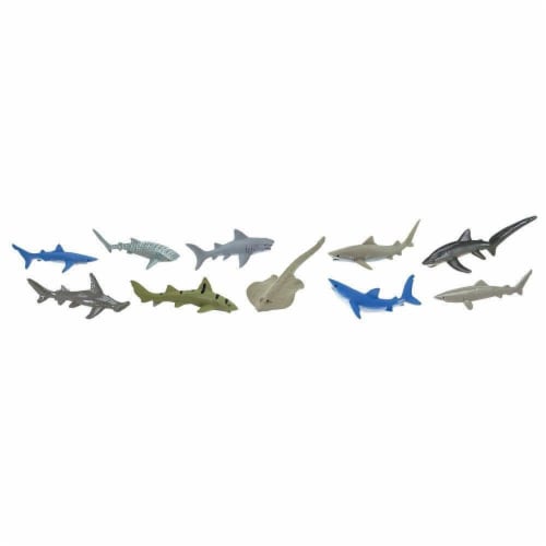 Sharks TOOB Perspective: top