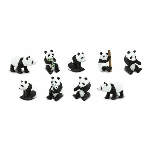 Pandas TOOB Perspective: top