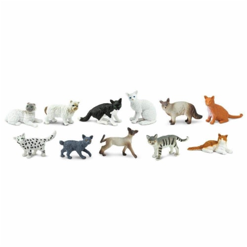 Domestic Cats TOOB Perspective: top