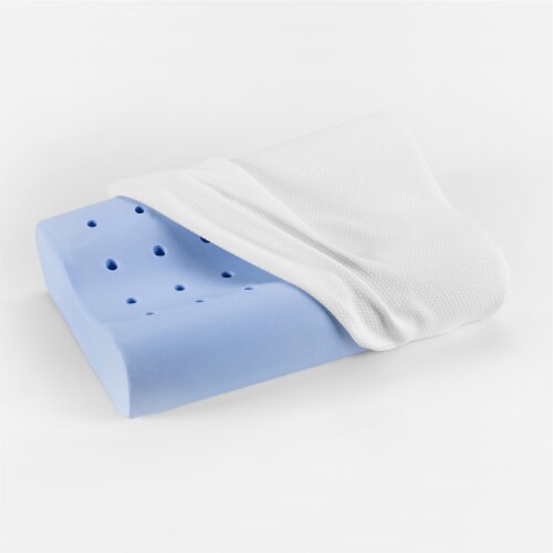 Sensorpedic maximum cooling memory foam contour pillow clearance