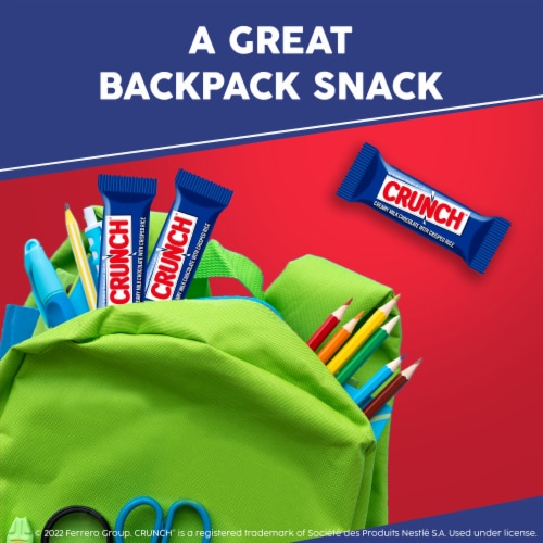 CRUNCH Milk Chocolate and Crisped Rice Fun Size Individually Wrapped Candy Bars Perspective: top