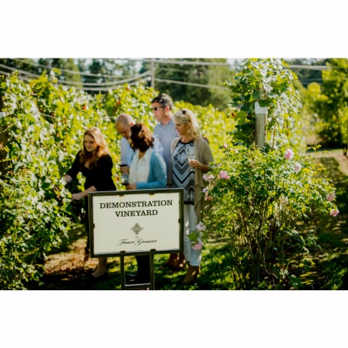 The Four Graces Pinot Noir Oregon Red Wine Perspective: top
