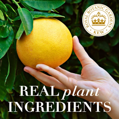 Herbal Essences Bi:Renew White Grapefruit & Mint Naked Volume Shampoo Perspective: top