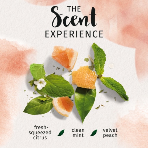 Herbal Essences bio:renew White Grapefruit & Mint Volumizing Conditioner Perspective: top