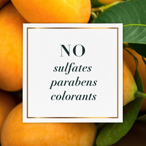 Herbal Essences bio:renew Mango + Potent Aloe Conditioner Perspective: top