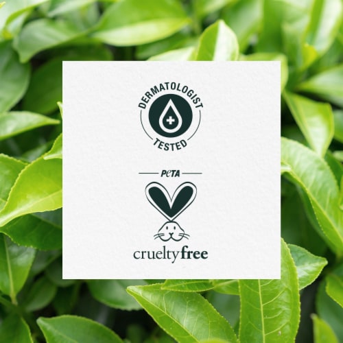 Herbal Essences Classics Clarifying Tea Tree Shampoo Perspective: top