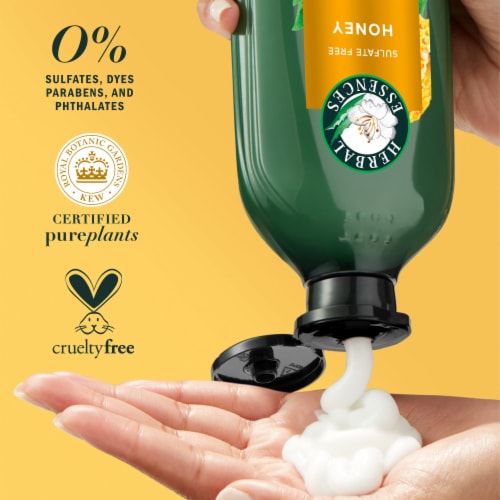 Herbal Essences Honey Daily Moisture Conditioner with Camellia Oil and Aloe Vera Sulfate Free Perspective: top