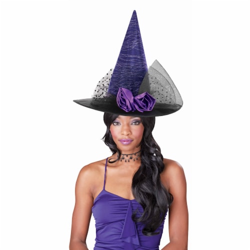 Seasons Purple and Black Witch Hat Adult Halloween Costume Accessory Perspective: top