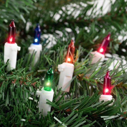 Northlight 50 Count Multi Color Mini Christmas Light Set 10ft
