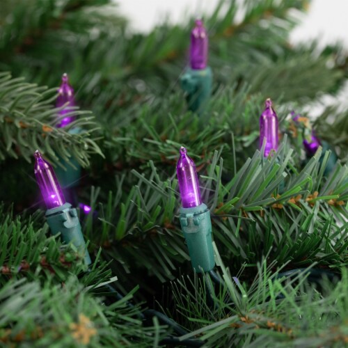 Northlight 50ct Purple LED Mini Christmas Lights, 16.25ft Green Wire Perspective: top