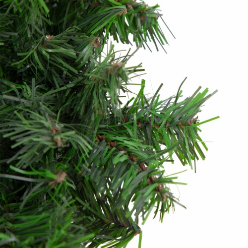 Northlight Canadian Pine Mini Artificial Christmas Wreath, 12-Inch, Unlit Perspective: top