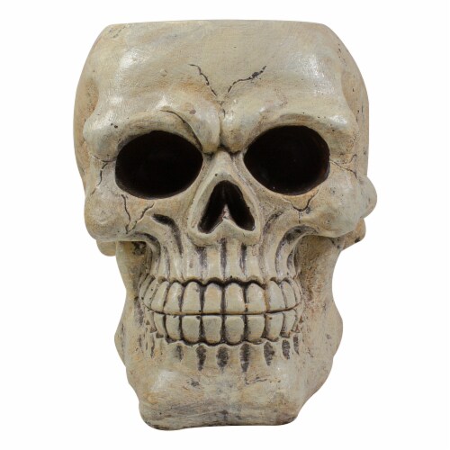 Northlight 11 Ivory and Black Halloween Skull Tabletop Decoration Perspective: top