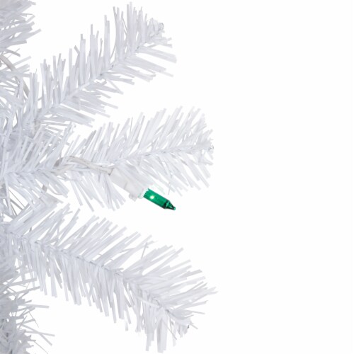 Northlight Pre-Lit Woodbury White Pine Artificial Christmas Wreath, 24-Inch, Green Lights Perspective: top
