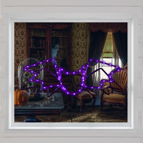 Northlight 23.5 Lighted Bat with 4 Function Controller Window Silhouette Halloween Perspective: top